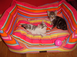 Eric and Ernie (not so little any more!)