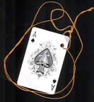 SJC 2002 - Pass - I got the Ace of Spades!